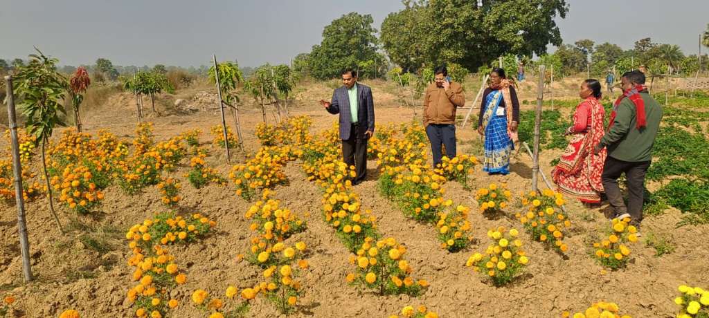 आम बागवानी में फूलों की खुशबू: कुंडहित में इंटरक्रॉपिंग देख गदगद हुए उपविकास आयुक्त
